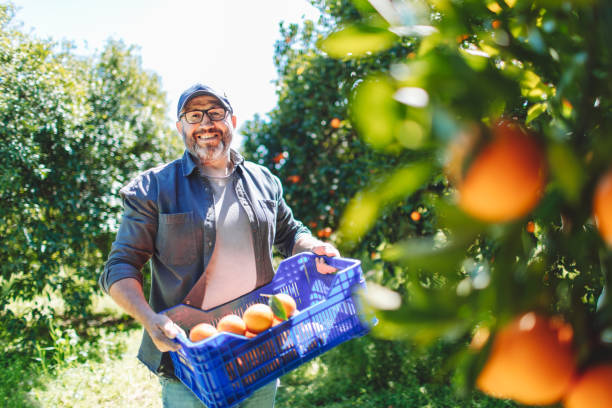 Farmers Are Better Than Lawyers