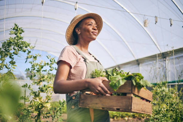 Why Farmers Are Better Than Lawyers